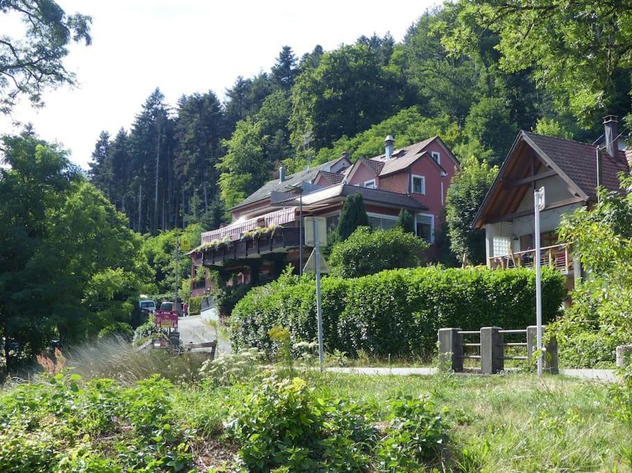 Appartement Entier Dans Un Ecrin De Verdure Thann Exterior foto