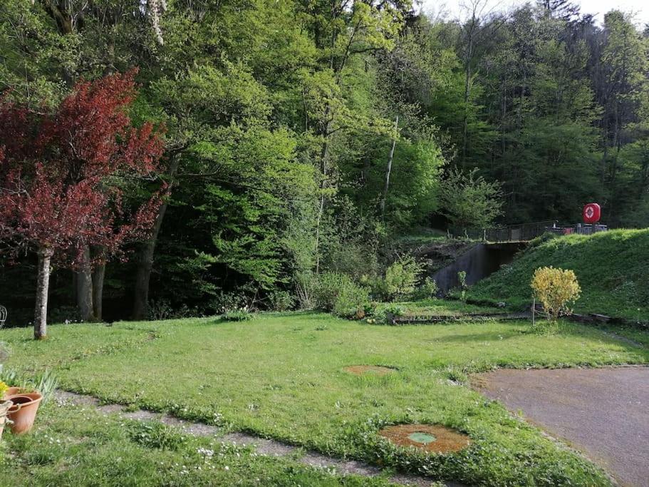Appartement Entier Dans Un Ecrin De Verdure Thann Exterior foto
