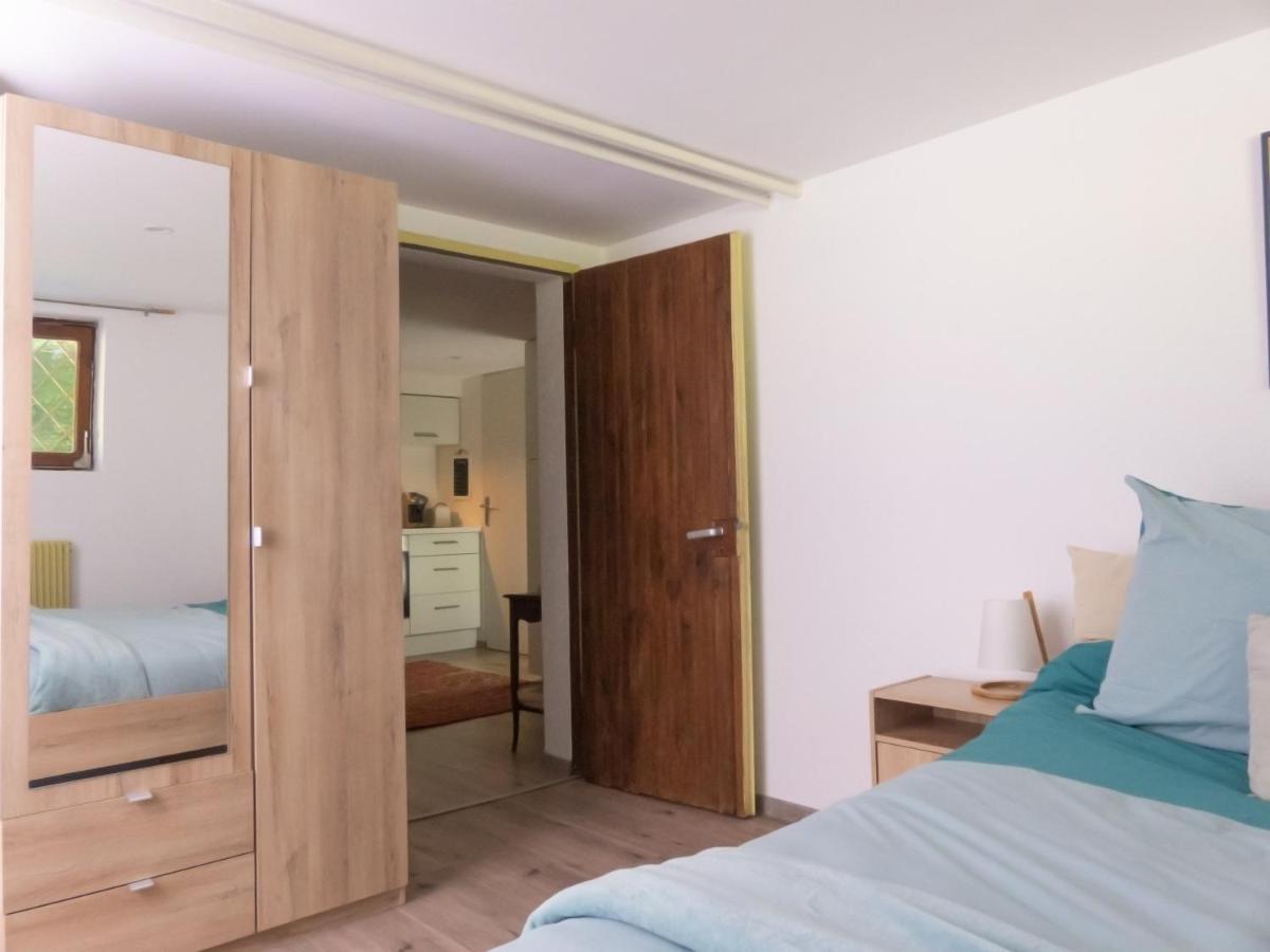 Appartement Entier Dans Un Ecrin De Verdure Thann Exterior foto